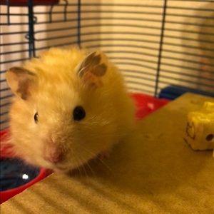 Meet your Posher, Kate